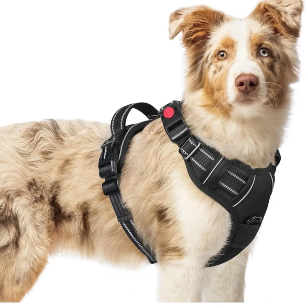 NWT Orange and Black Dog Harness adjustable straps with safely lock Large - Picture 11 of 11